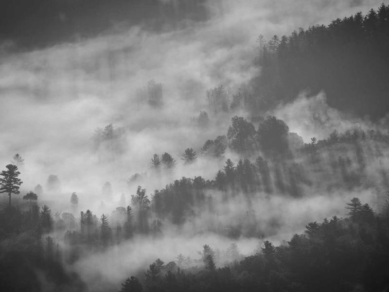 食物造型师<br>gitbuvf.cn 塑料冰块摆盘